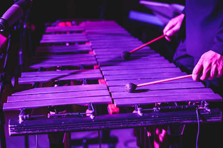 Xylophone concert view of vibraphone marimba player, mallets drum sticks, with latin orchestra musical band performing in the backgroundの写真素材