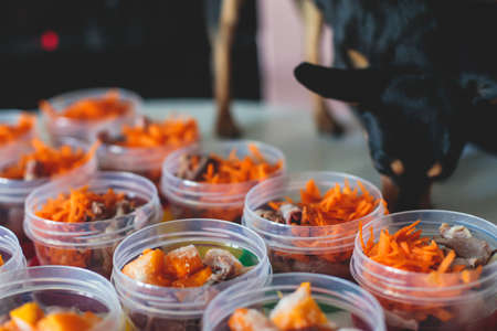 Process of preparing bowls with natural raw pet dog food at home, preparation of healthy raw barf for cats dogs, with duck, turkey, offals, meat, vegetables, assorted food portions in containersの写真素材