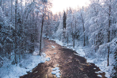 Winter snowy aerial landscape of forest with the river, Lapland, Finlandの写真素材