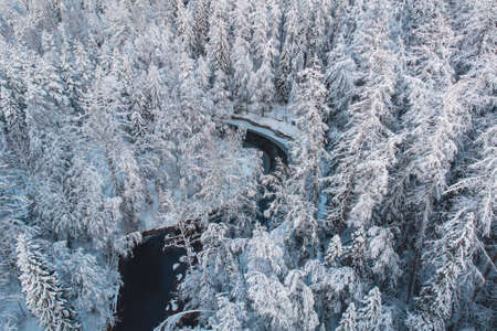 Winter snowy aerial landscape of forest with the river, Lapland, Finlandの写真素材