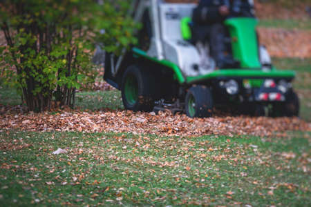 Removing fallen autumn leaves in the park, process of raking and cleaning the area from yellow leaves, regular seasonal work with tractor, garden tools and a modern equipmentの写真素材