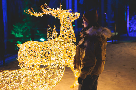 Glowing electric decoration in a winter snowy street, with night decor illumination, Christmas in Europe, with reindeer lamps made of light bulbs and wires, New Year house outdoor yard decorationsの写真素材