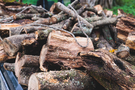 Pickup truck fully loaded with olive tree chopped firewood logs, preparing of woods for fireplace...