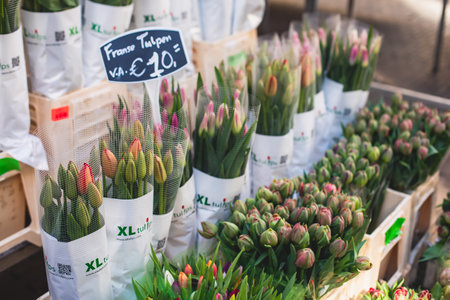 Traditional souvenirs from Amsterdam - fridge magnets, rows of Delftware porcelain, Dutch style houses, dutch wooden clogs, wooden tulips and windmill miniature, shop window store front, Netherlandsの写真素材