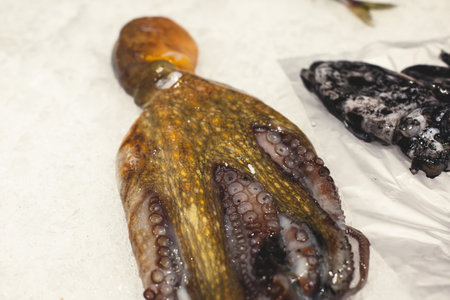 Frozen fresh raw octopus in fish market food store on ice in Lisbon, Portugalの写真素材