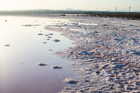 Beautiful wide vibrant summer view of las Salinas de Torrevieja, The Pink Lake Of Torrevieja, pink...