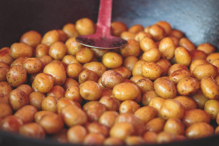 Variety assortment of different traditional european street food with sausages, mashed potatoes and stewed cabbage at one of the vendor stalls at the fair market food festival in sunny summer dayの写真素材