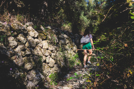 View of hiking trail from Paleokastritsa to Lakones, Old Donkey path, Corfu, Kerkyra, Greece, Ionian sea islands, with olive grove forest and mountains, in summer sunny day, trekking on Corfuの写真素材