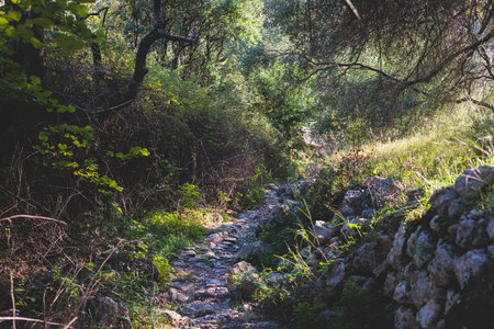 View of hiking trail from Paleokastritsa to Lakones, Old Donkey path, Corfu, Kerkyra, Greece, Ionian...