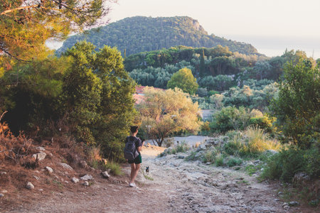 View of hiking trail from Paleokastritsa to Lakones, Old Donkey path, Corfu, Kerkyra, Greece, Ionian sea islands, with olive grove forest and mountains, in summer sunny day, trekking on Corfuの写真素材