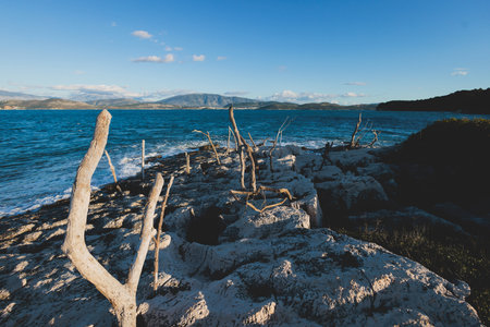 View of Erimitis coast landscape near Kassiopi and Agios Stefanos village, Corfu island, Kerkyra, Greece, with hiking trail path, forest and beach in summer sunny dayの写真素材