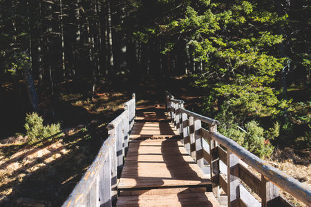Beautiful view of Black lake, Crno Jezero in Durmitor National Park, Zabljak, northern Montenegro, landscape in a sunny day with blue sky, with glacial lake, forest hiking trail and mountainsの写真素材