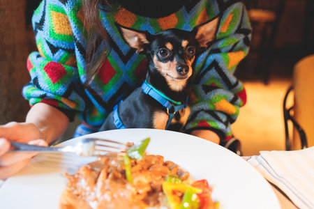 Dog friendly cafe, small black dog sitting in a restaurant with a female owner, pet friendly place...
