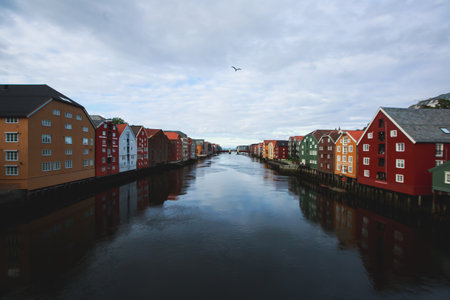 Summer sunny view of Trondheim, a city and municipality in Trondelag county, Norway,の写真素材