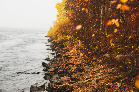 Beautiful vibrant fall autumn landscape of national park near border of Finland, Sweden and Norway, with mountains, camping place, road and forestの写真素材