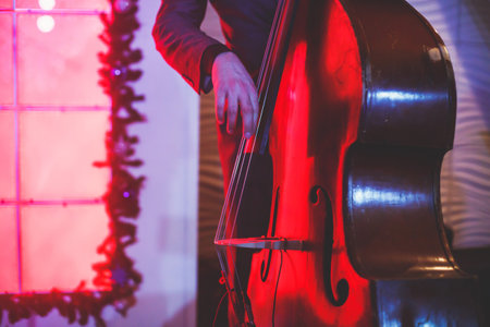 Concert view of a contrabass violoncello player with vocalist and musical during jazz band performingの写真素材