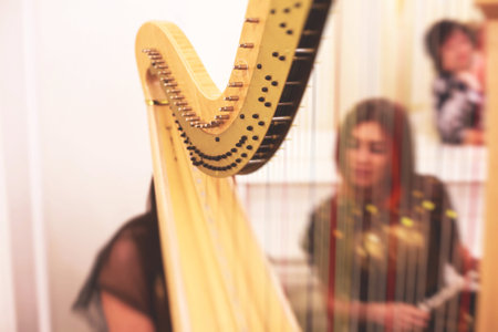 Female musician harpist playing harp during symphonic concert, with other musicians in the background, close up hands of the woman playing arf.の写真素材