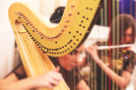 Female musician harpist playing harp during symphonic concert, with other musicians in the background, close up hands of the woman playing arf.の写真素材