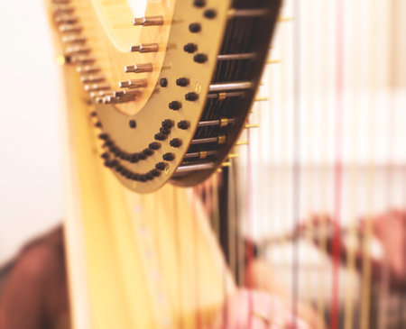 Female musician harpist playing harp during symphonic concert, with other musicians in the background, close up hands of the woman playing arf.の写真素材