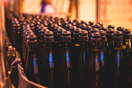 View of glass bottles on the conveyor belt, bottle necks on the production line, brewery equipment, inside wine factory, process of alcohol liquor manufacture productionの写真素材
