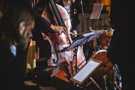 Concert view of a contrabass violoncello player with vocalist and musical during jazz orchestra band...
