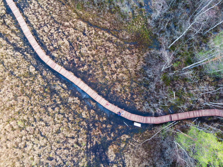 Aerial view of wooden walkway on the territory of Sestroretsk swamp, ecological trail path - route...