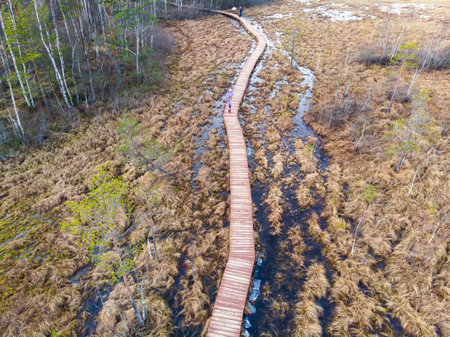 Aerial view of wooden walkway on the territory of Sestroretsk swamp, ecological trail path - route...