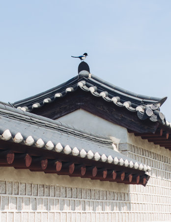 Gyeongbokgung Palace, Seoul, Jongno District, South Korea, in a spring sunny day, exterior view of main Korean royal palace in Cherry Blossom season, with Bugaksan mountain in the backgroundの写真素材