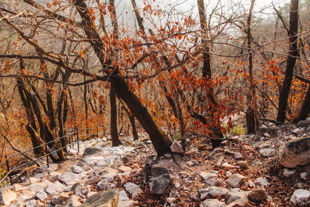 Bukhansan National Park, Seoul, Gyeonggi-do, South Korea, spring landscape view during hike to Baegundae summit peak, process of trekking and climbing to Bukhan mountain, travel and hiking in Koreaの写真素材