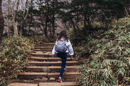 Hallasan National Park, Jeju island, South Korea, spring view of Yeongsil trail with a wooden ladder path stairs, trekking and climbing, stairway to Halla mountain, hiking in Korea, Jeju-do, sunny dayの写真素材