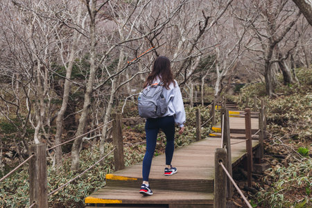 Hallasan National Park, Jeju island, South Korea, spring view of Yeongsil trail with a wooden ladder...