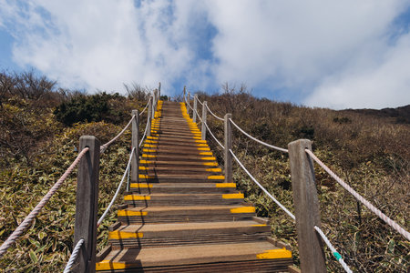 Hallasan National Park, Jeju island, South Korea, spring view of Yeongsil trail with a wooden ladder...
