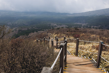 Hallasan National Park, Jeju island, South Korea, spring view of Yeongsil trail with a wooden ladder...