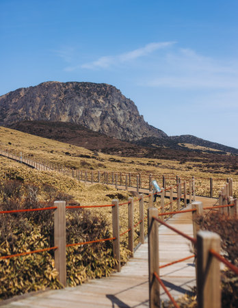 Hallasan National Park, Jeju island, South Korea, spring landscape view of Yeongsil trail, Halla volcano peak, trekking and climbing to Halla mountain, travel and hiking in Korea, Jeju-do, sunny dayの写真素材