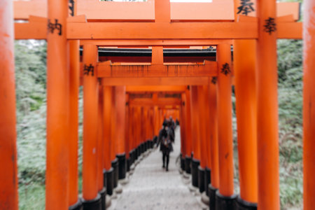 Fushimi Inari Taisha Shrine, Fushimi-ku, Kyoto Prefecture, Kansai region, Kyoto, Japan, Shinto...