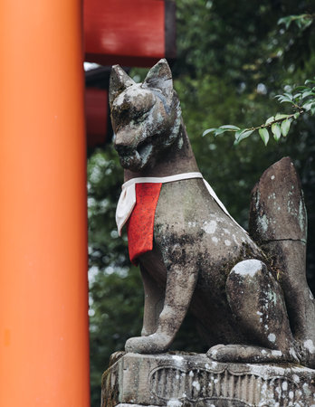 Fushimi Inari Taisha Shrine, Fushimi-ku, Kyoto Prefecture, Kansai region, Kyoto, Japan, Shinto shrine, mountain way with red torii gates tunnel, wooden torii path, fox sculptures, travel to Japanの写真素材