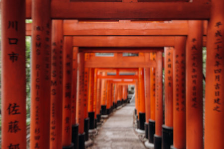 Fushimi Inari Taisha Shrine, Fushimi-ku, Kyoto Prefecture, Kansai region, Kyoto, Japan, Shinto shrine, mountain way with red torii gates tunnel, wooden torii path, fox sculptures, travel to Japanの写真素材