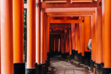 Fushimi Inari Taisha Shrine, Fushimi-ku, Kyoto Prefecture, Kansai region, Kyoto, Japan, Shinto...