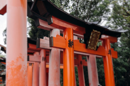 Fushimi Inari Taisha Shrine, Fushimi-ku, Kyoto Prefecture, Kansai region, Kyoto, Japan, Shinto shrine, mountain way with red torii gates tunnel, wooden torii path, fox sculptures, travel to Japanの写真素材