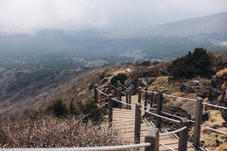 Hallasan National Park, Jeju island, South Korea, spring view of Yeongsil trail with a wooden ladder...