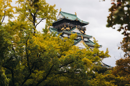 Osaka Castle, Osaka city, Japan, summer landscape vibrant view with a blue sky, Osakajo castle building, Kansai region, Osaka prefecture, travel to Japanの写真素材