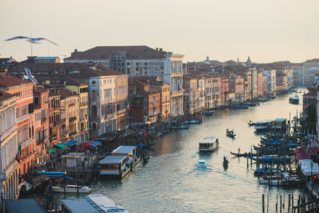 Venice panorama, Veneto, Italy, beautiful aerial panoramic view of Venetian Grand Channel Canal with gondolas, rooftops, skyline and scenery beyond the city, in a summer sunny day, travel to Veneziaの写真素材