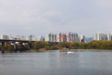 Seoul panoramic view during Hangang river boat cruise, South Korea, with Yeouido Hangang Park and Mapo bridge, scenery beyond the city, Yeongdeungpo District, Gyeonggi-do province, Republic of Koreaの写真素材