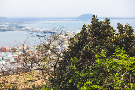 Jeju-do, Seongsan Ilchulbong landscape, volcanic tuff cone, Sunrise peak, Jeju Island, South Korea, Seongsan-ri, Seogwipo, Jeju Province landscape view in a sunny day, with sea, cliffs hiking trailの写真素材