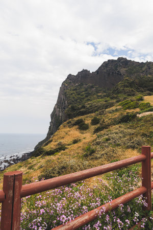Jeju-do, Seongsan Ilchulbong landscape, volcanic tuff cone, Sunrise peak, Jeju Island, South Korea, Seongsan-ri, Seogwipo, Jeju Province landscape view in a sunny day, with sea, cliffs hiking trailの写真素材