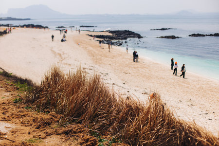 Udo Island, Jeju Island province, South Korea, white sand coral beach, coastline sea landscape sunny view, U Island, Soseom cow island, Jeju-si, Jeju-do, Sanho and Hagosudong beachの写真素材