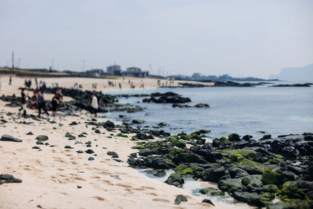 Udo Island, Jeju Island province, South Korea, white sand coral beach, coastline sea landscape sunny view, U Island, Soseom cow island, Jeju-si, Jeju-do, Sanho and Hagosudong beachの写真素材