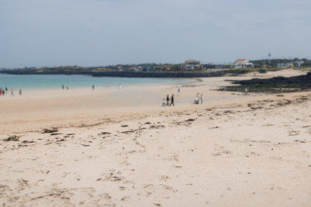 Udo Island, Jeju Island province, South Korea, white sand coral beach, coastline sea landscape sunny view, U Island, Soseom cow island, Jeju-si, Jeju-do, Sanho and Hagosudong beachの写真素材