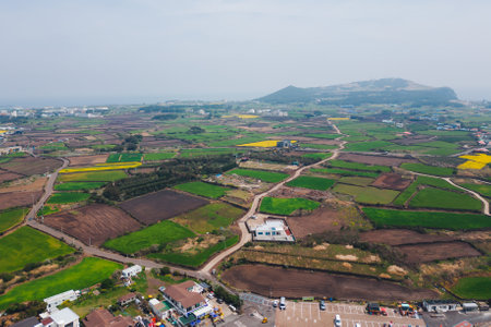 Udo Island, Jeju Island province, South Korea, Jeju-do, panoramic aerial view of coastline sea...