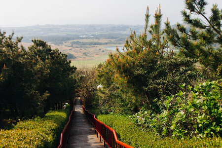 Udo Island, Jeju Island province, South Korea, Jeju-do, panoramic aerial view of coastline sea landscape in a sunny dayの写真素材